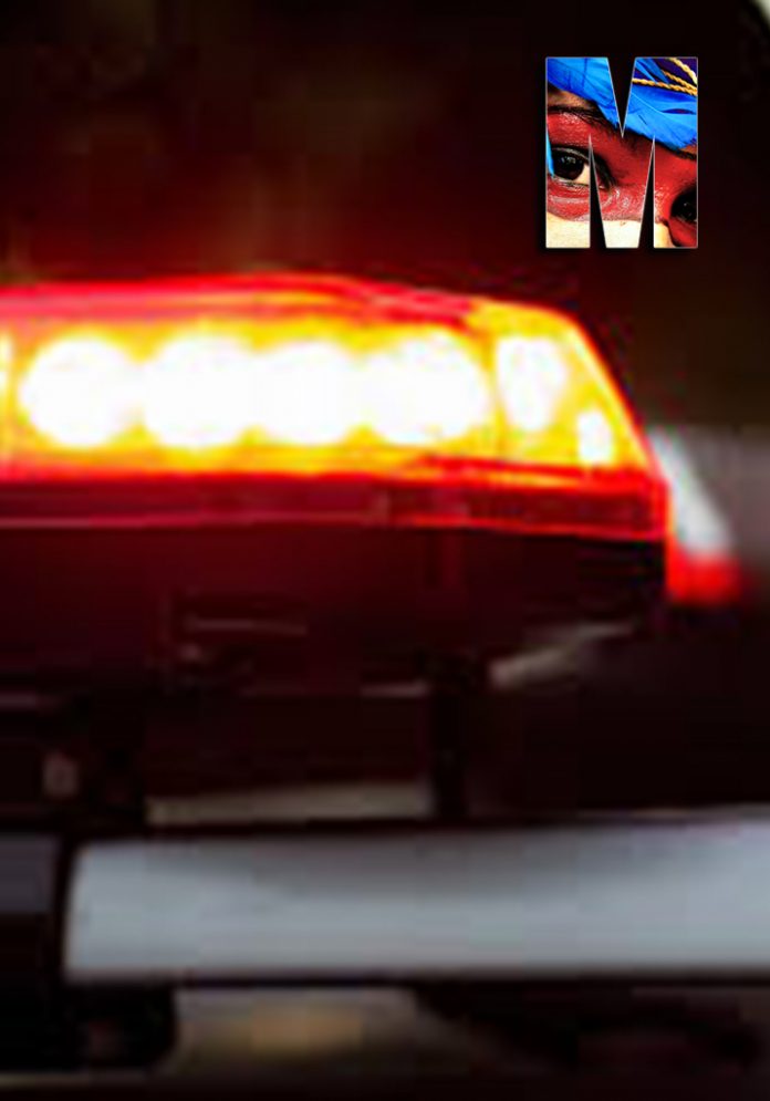 imagen padrão princesinha