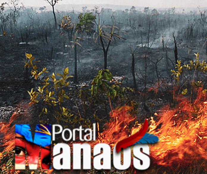 Cinza Foto Dia da Consciência Negra Post para Facebook (3)