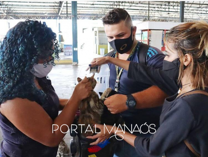 Design sem nome - 2021-02-10T131914.656