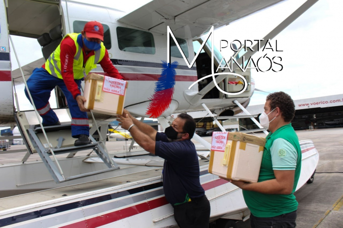 Design sem nome - 2021-02-12T054123.395