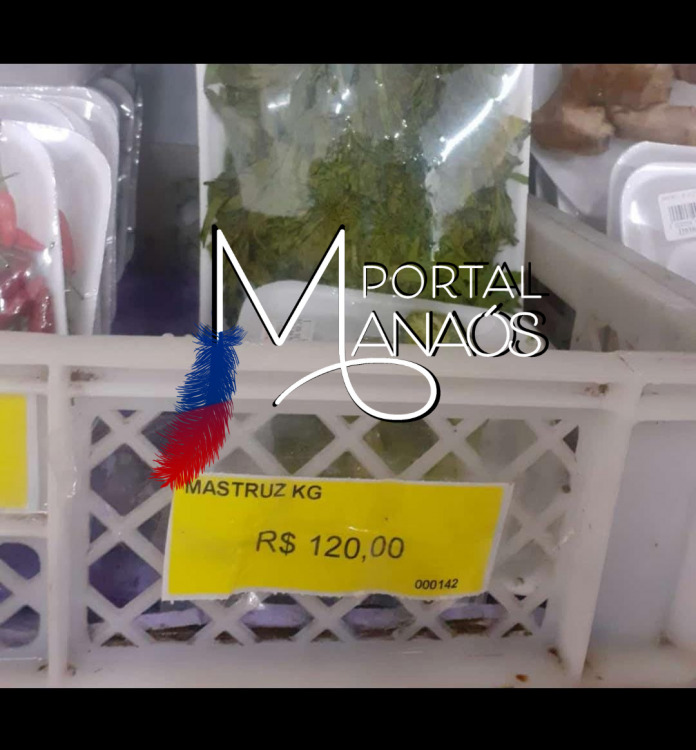 Design sem nome - 2021-02-17T162939.429