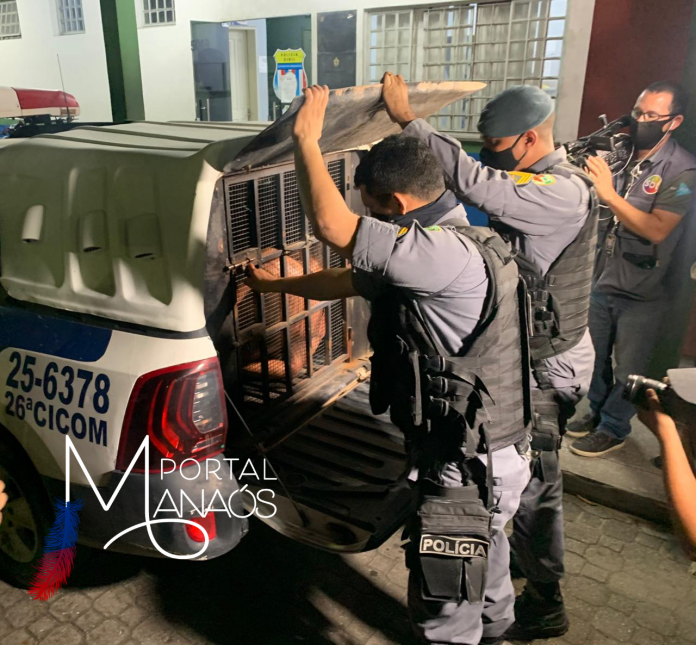 Design sem nome - 2021-02-23T113251.611