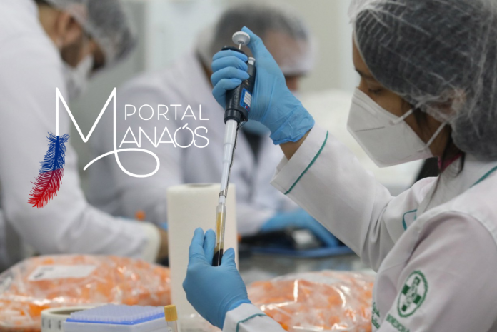 Design sem nome (33)