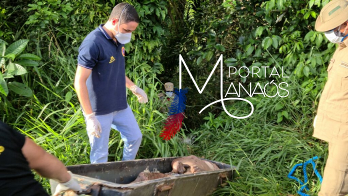 Design sem nome (64)