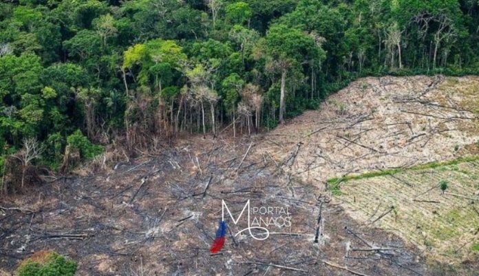 WhatsApp Image 2022-02-10 at 20.19.29 (3)