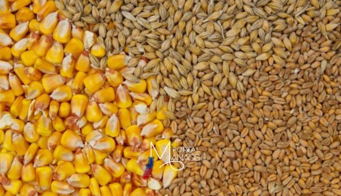 WhatsApp Image 2022-02-18 at 13.18.21 (1)