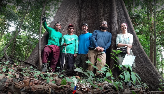 capa-arvores-nativas