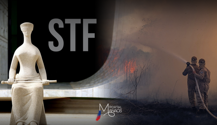 capa-devastação-ambiental