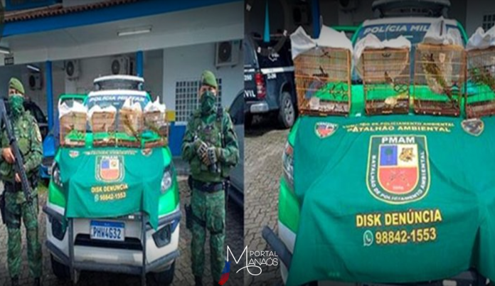 capa-aves-silvestres