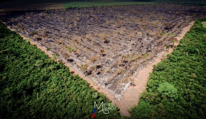 capa-desmatamento-da-amazônia