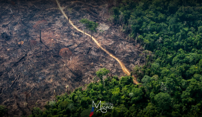 capa-devastação-terras-indígenas MPF pede que fazendeiros e empresa aérea indenizem comunidade indígena em RR