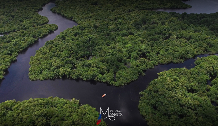 capa-floresta-amazonica