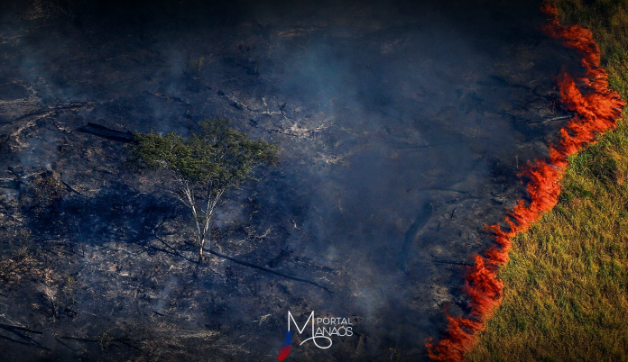 capa-queimadas-amazônia