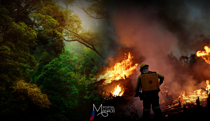 capa-floresta-amazonica