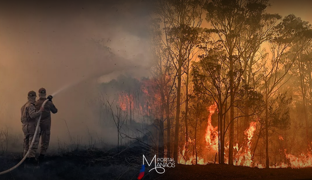 Em audiência de conciliação no Supremo Tribunal Federal (STF) o ministro Flávio Dino decidiu que todas as frentes de fogo na Amazônia e no Pantanal devem ter combate imediato assim que identificadas, com convocação de mais bombeiros militares e homens da Força Nacional.