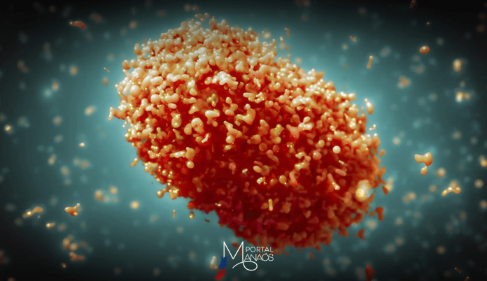 capa-variola-dos-macacos-monkeypox-virus