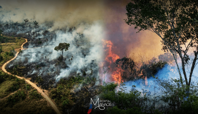 capa-queimadas-amazonas