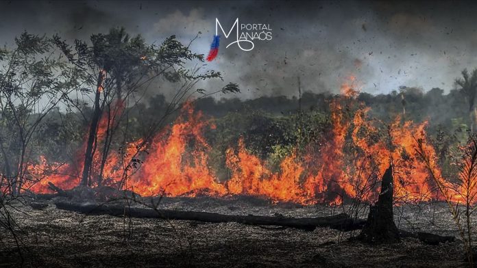 22BDBD8C-6621-49F1-B63C-D579CA0AC6F4