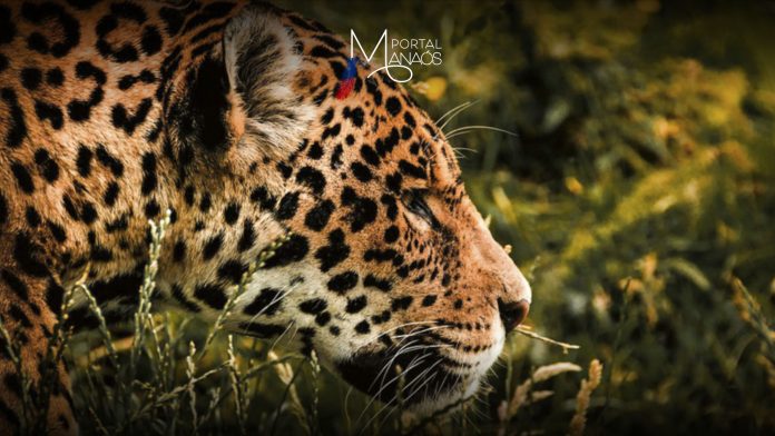 3DB93C7E-11DF-42C9-864B-330BCAE45BBB