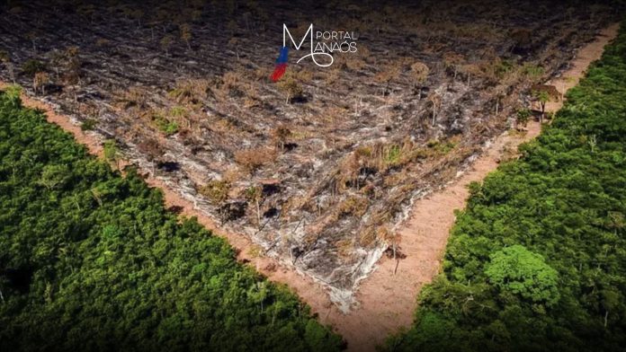 E7260DF6-98E8-459D-895F-23FA24644382