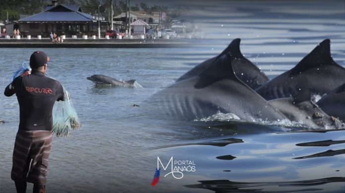 75442F3F-858D-410A-9FF2-9033B7DAD5E6