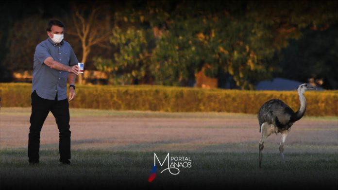 Bolsonaro - vacinação