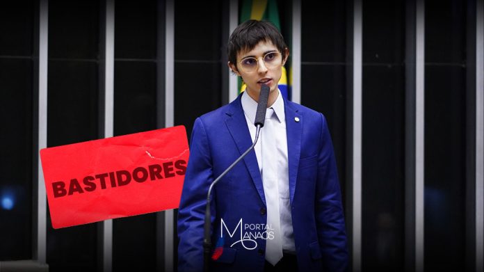 Deputado Amom Mandel