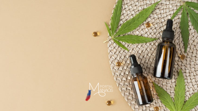 STF suspende ações STF suspende ações para liberação de cultivo de caannabis medicinal