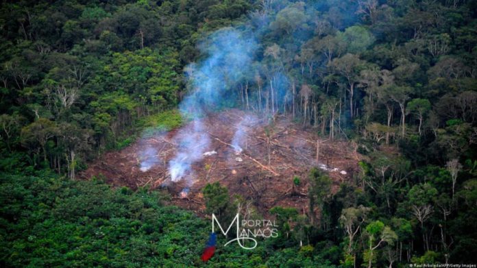 capa emergência amazônia Queimadas: MMA declara 'emergência ambiental" no Amazonas