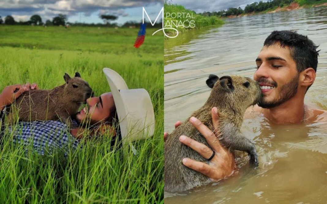 Tiktoker que viralizou em vídeos com capivara, se pronuncia após multa do IBAMA