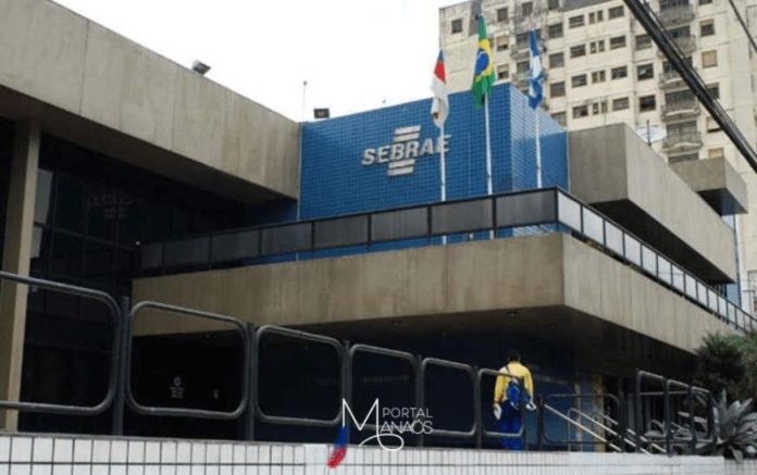 capa Sebrae Sebrae Amazonas: Implantará programa Cidade Empreendedora em Novo Airão