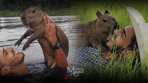 Reviravolta: Após polêmicas envolvendo o Ibama, tiktoker supostamente poderá permanecer com a capivara Filó