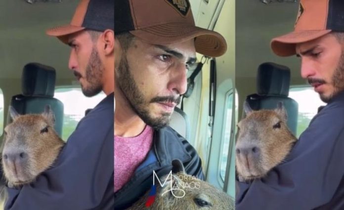 desfecho filó Desfecho: Tiktoker entrega capivara Filó ao Ibama em Manaus