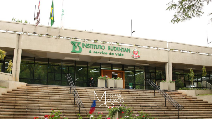 Butantan Butantan começa a desenvolver vacina contra gripe aviária