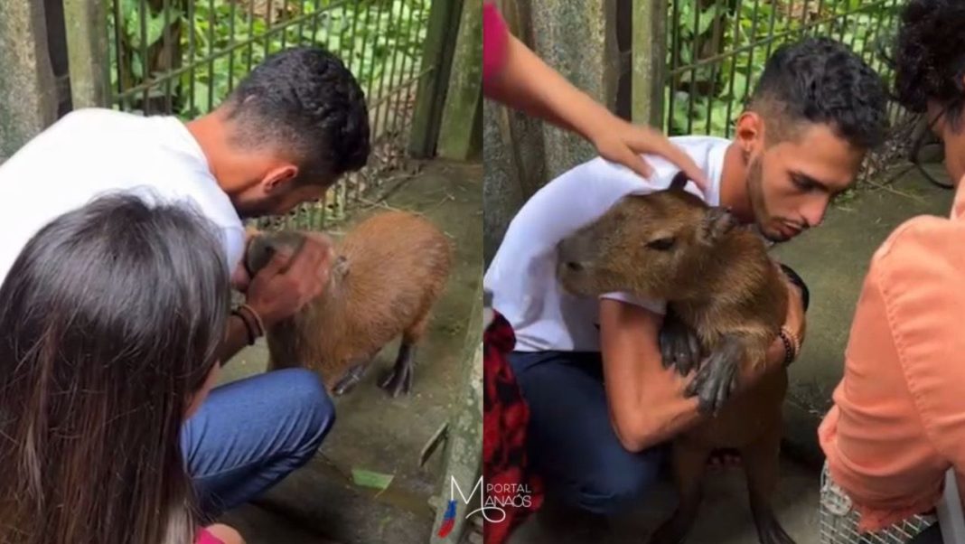 Amizade entre estudante e capivara viraliza nas redes