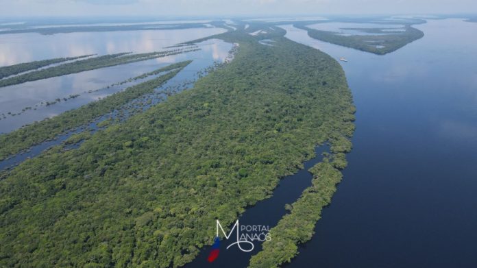 capa meio ambiente Dia do Meio Ambiente: Workshop discutirá panorama da agenda ambiental no AM