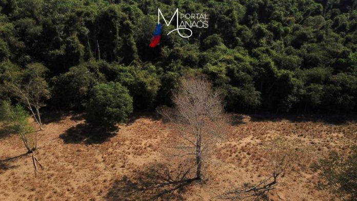 Desmatamento Desmatamento no Brasil cresceu 22% no ano passado, segundo relatório