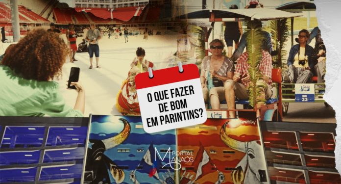 capa pin 14 dias para o maior festival do norte: O que fazer em Parintins?