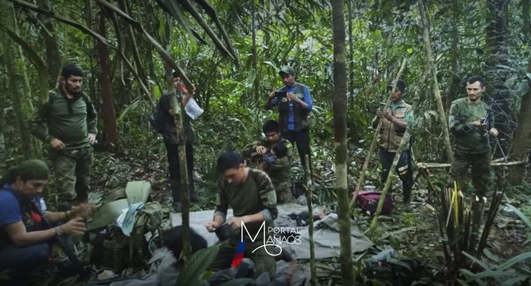 Crianças são resgatadas na selva da Colômbia, e 'cão heroi' ainda está desaparecido