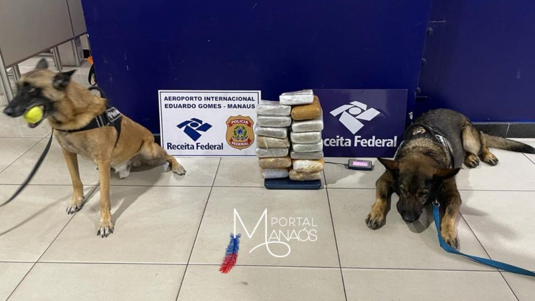 Receita Federal apreende mais de 14 kg de maconha em polpas de açaí no aeroporto de Manaus