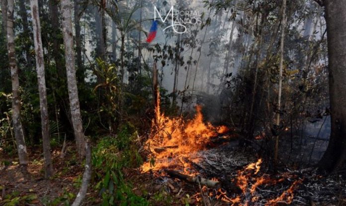 capa incêndio am Em 7 dias, operação combateu 12 incêndios florestais no sul do AM