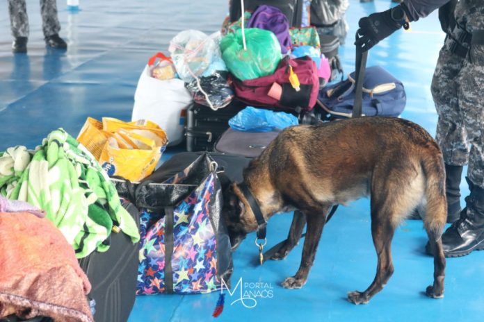 capa manaos No primeiro semestre de 2023, ações policiais já resultaram em R$ 47,9 milhões de danos ao crime no Amazonas