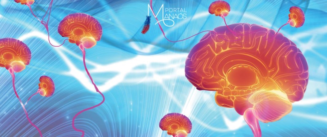 Minicérebros artificiais podem ajudar no tratamento de doenças