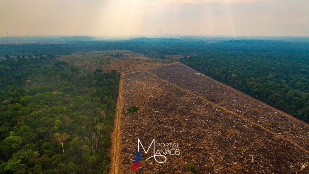 O objetivo é reduzir o desmatamento na Amazônia Legal para a taxa de 3.925 km anuais até 2027 e a zero até 2030