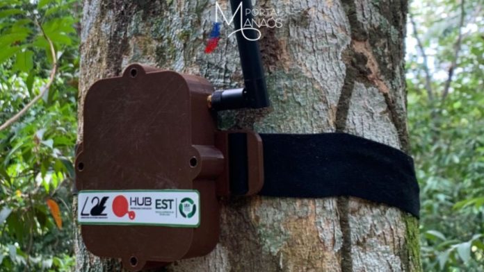 capa manaós UEA desenvolve Projeto Curupira para combater desmatamento