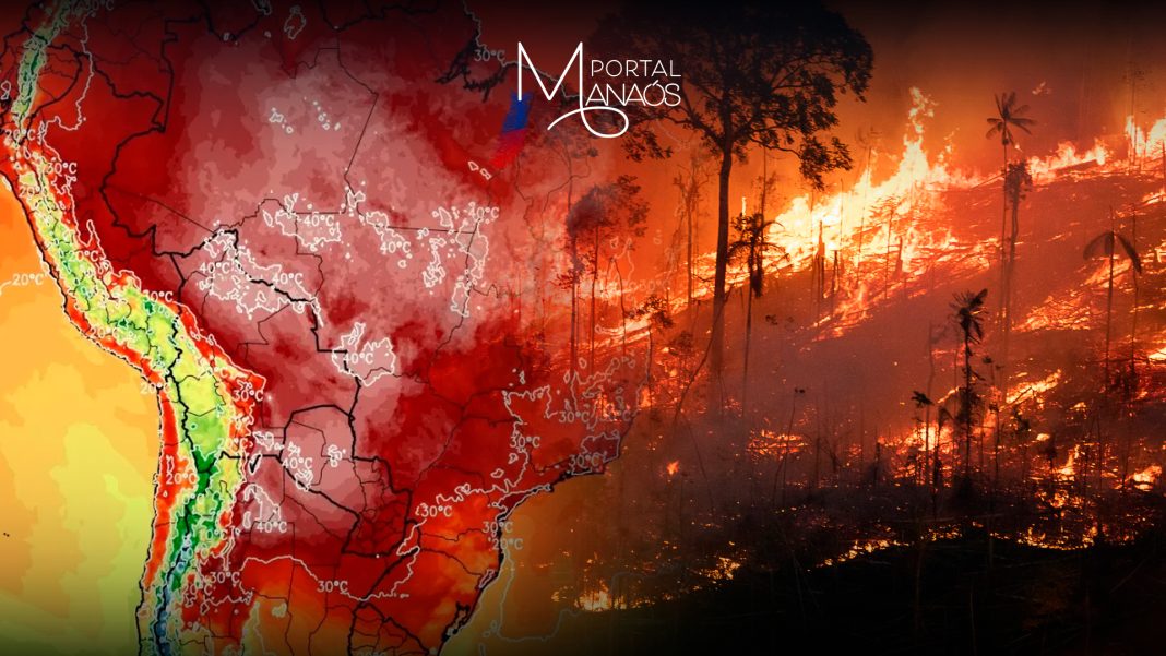 Já está em vigor, a Lei 14.944/24, que institui a Política Nacional de Manejo Integrado do Fogo e estabelece diretrizes para o uso do fogo em áreas rurais, com foco na sustentabilidade e na proteção da biodiversidade das áreas de mata. contra queimadas