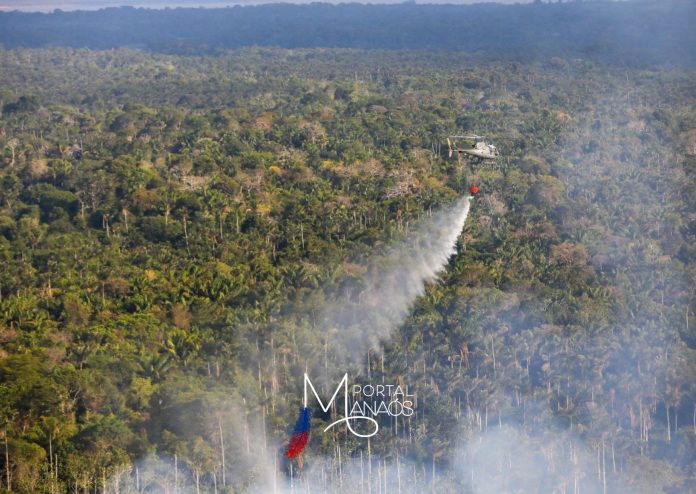 #Queimadas #GovernodoAmazonas #Fumaça #Amazonas Amazônia, PF, Incêndios,