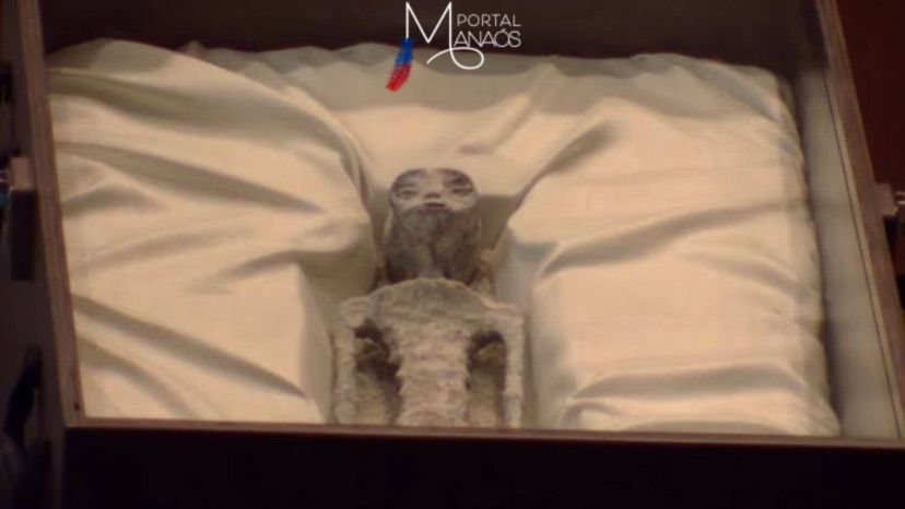 Supostos corpos de aliens são mostrados no México; confira