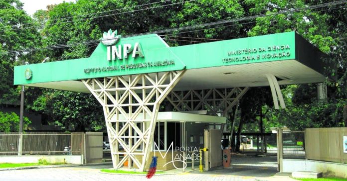 inpa Inpa anuncia concurso com 63 vagas no Amazonas