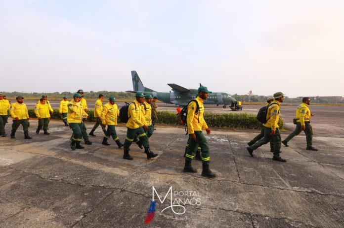 brigadista Mais 94 brigadistas do Ibama chegam ao Amazonas para apoiar no combate às queimadas